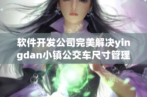 软件开发公司完美解决yingdan小镇公交车尺寸管理难题