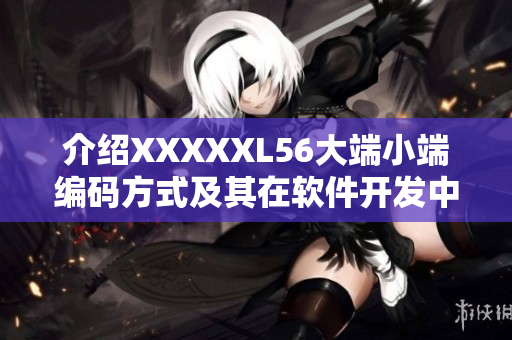 介绍XXXXXL56大端小端编码方式及其在软件开发中的应用