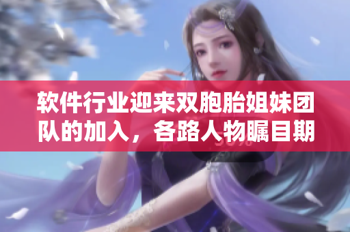软件行业迎来双胞胎姐妹团队的加入，各路人物瞩目期待