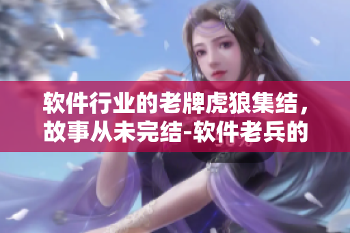 软件行业的老牌虎狼集结，故事从未完结-软件老兵的岁月