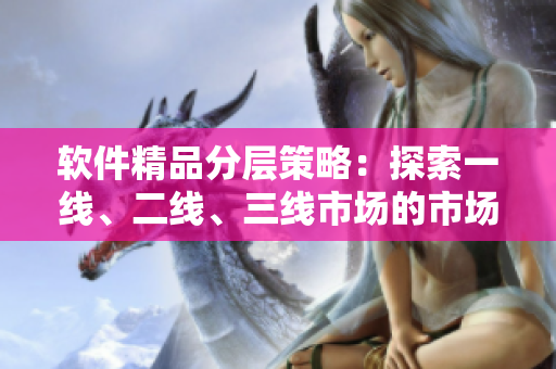 软件精品分层策略：探索一线、二线、三线市场的市场适应性