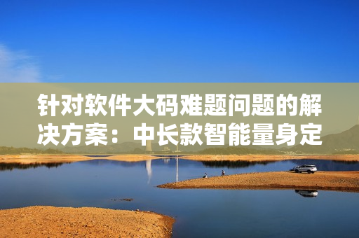 针对软件大码难题问题的解决方案：中长款智能量身定制连衣裙