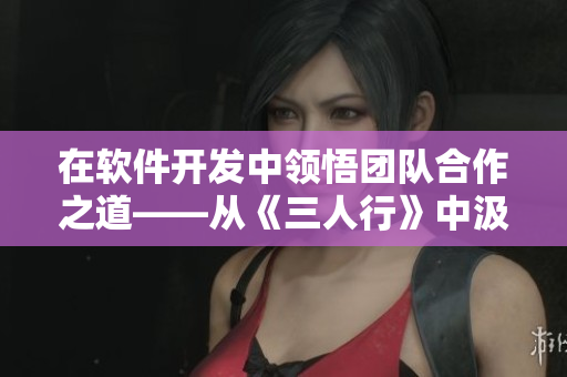 在软件开发中领悟团队合作之道——从《三人行》中汲取真知