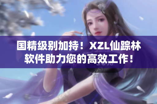 国精级别加持！XZL仙踪林软件助力您的高效工作！