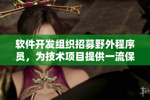 软件开发组织招募野外程序员，为技术项目提供一流保障