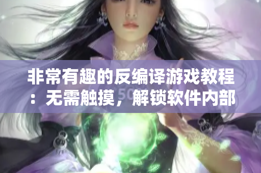 非常有趣的反编译游戏教程：无需触摸，解锁软件内部秘籍！