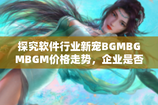 探究软件行业新宠BGMBGMBGM价格走势，企业是否值得投资？