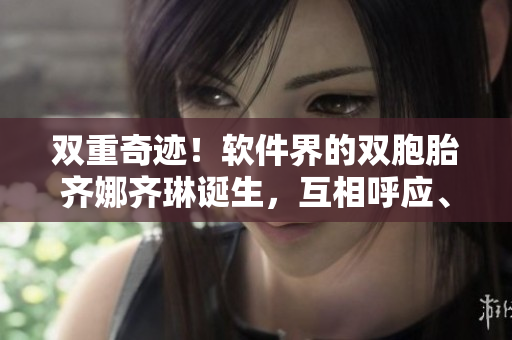 双重奇迹！软件界的双胞胎齐娜齐琳诞生，互相呼应、同步发展