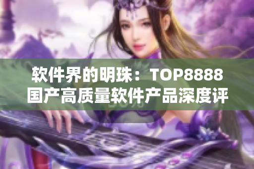 软件界的明珠：TOP8888国产高质量软件产品深度评测