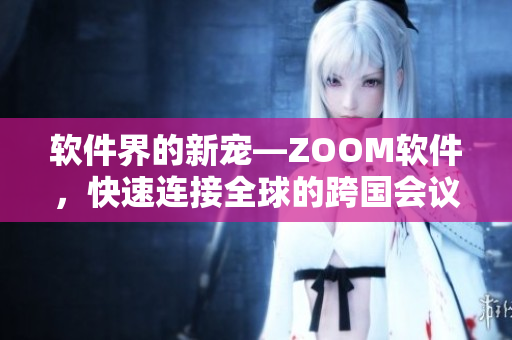 软件界的新宠—ZOOM软件，快速连接全球的跨国会议！