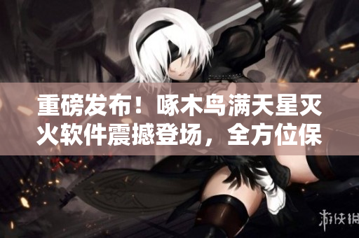 重磅发布！啄木鸟满天星灭火软件震撼登场，全方位保护您的计算机！