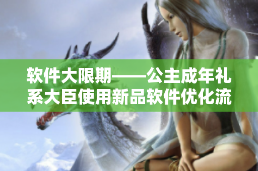 软件大限期——公主成年礼系大臣使用新品软件优化流程