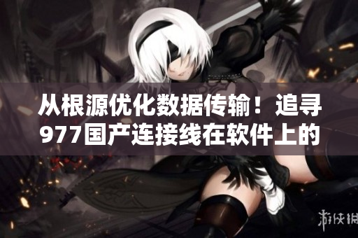 从根源优化数据传输！追寻977国产连接线在软件上的应用