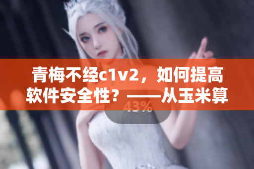 青梅不经c1v2，如何提高软件安全性？——从玉米算法角度分析