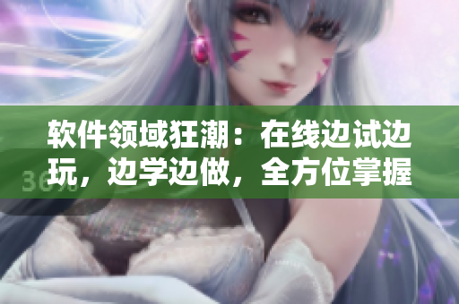 软件领域狂潮：在线边试边玩，边学边做，全方位掌握！